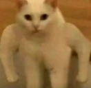 strongeg emote