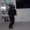GetSturdy4 emote