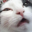 CE_confused2 emote