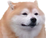 Dog emoji