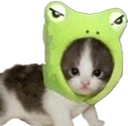 CatFrog emote