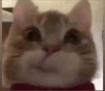 oop emote