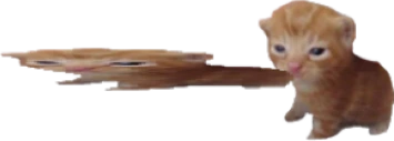 bertbert emote