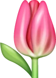tulip emote