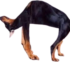 AsuKayang emote