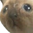 ProizoshelTrolling emote