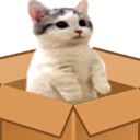 CatSittingVeryComfortableInABox emote