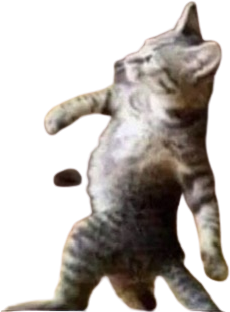 Catwalk static emote