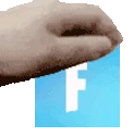 pettFortnite emote