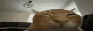 buhFlipAlmostExplode emote