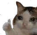 CE_SadThumbsUp emote