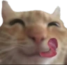 swagyum emote
