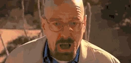 walterShocked emoji
