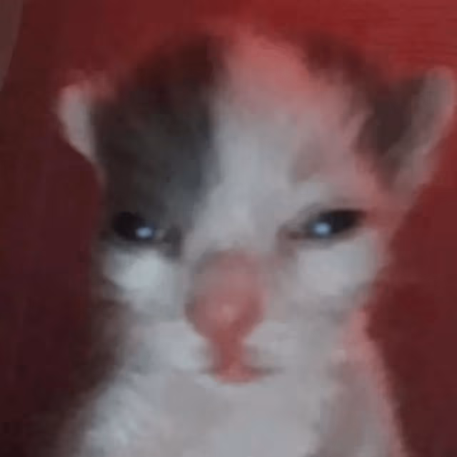 Brother_er emote