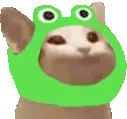 popCatforg emote