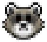 raccoon emoji