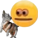 CarONE emote
