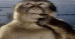 THINKING emote