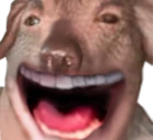 creatureomE emote