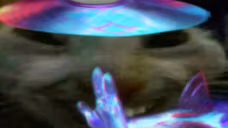 jaxdd emote