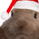 VIBEOFF emote
