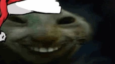 xddkiss emote