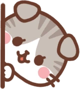 cat_peek emote