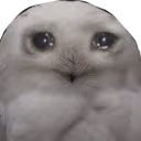 sadowl emote