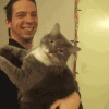 CatFight emote