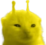 ylorp emote