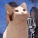 Boproll emote