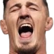 yell emote