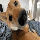 AutismCheck emote