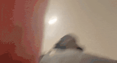 YRGSTROKES animated emote