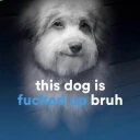 thisdogisfuckedupbruh emote