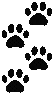 Whitepaws emote