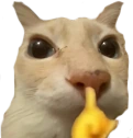 callaito emote