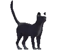 Alexander emote