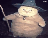 fatasswizardcastsfreeze emoji
