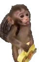monkeWalk emote