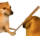 Bonk emote