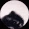 pedroRaccoon emote
