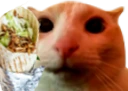 CatKebab emote
