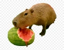 watermelon emoji