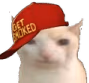SmokedCat emoji