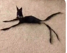 bean emote