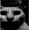 catDespair emote