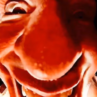 FLAMGO emote