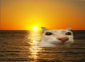 otagLife emote