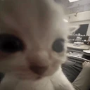 olhando emote